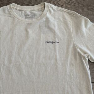 Patagonia Fitz Roy Icon Responsibili-Tee Mens Medium Shirt Birch White 37665 NWT